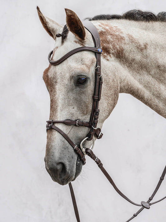 The fit of the bridle is the most important thing for us at PS of Sweden. Together with one of the best showjumpers in the world, Henrik von Eckermann, we have designed this unique bridle with amazing features that you and your horse will love!