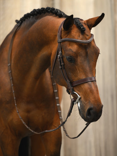 A classical hunter bridle with a modern touch and an anatomical shape. It has a solid throatlatch, a soft, flat noseband and a browband with beautiful décor stitching.