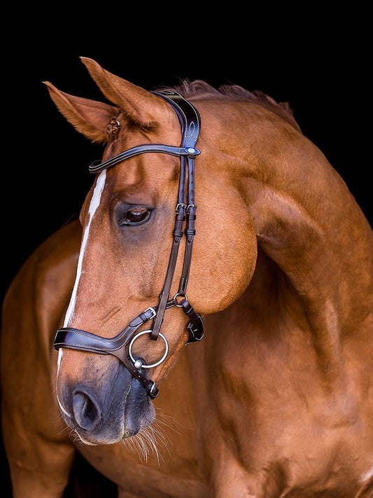 Experience the difference with the Pioneer bridle. A bridle that helps the horse to stabilize the jaw and lies flat against the muzzle, thanks to the built-in shock-absorbing cushion. Adjust the height of the noseband and vary between a lower, dropped noseband function and a higher English noseband. By varying the height of the noseband, you can also switch between the different functions depending on the purpose.