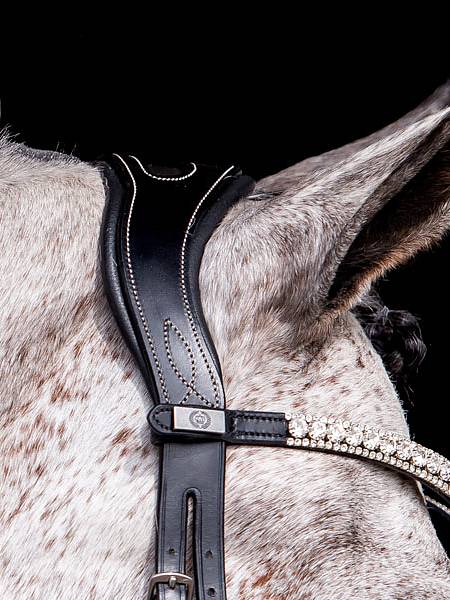 Experience the difference with the Pioneer bridle. A bridle that helps the horse to stabilize the jaw and lies flat against the muzzle, thanks to the built-in shock-absorbing cushion. Adjust the height of the noseband and vary between a lower, dropped noseband function and a higher English noseband. By varying the height of the noseband, you can also switch between the different functions depending on the purpose.