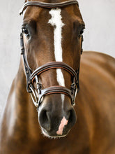 Load image into Gallery viewer, This is a bridle for the experienced rider and the noseband is used instead of having to put a sharper bit in the horse’s mouth. The noseband is made for very strong and forward going horses, it combines the function from an English- and a dropped noseband and surrounds the horse in a nice way, offering plenty of stability.
